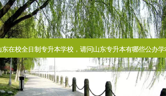 山东在校全日制专升本学校,请问山东专升本有哪些公办学校-第1张图片-天智网 山东在校全日制专升本学校,请问山东专升本有哪些公办学校-第1张图片-天智网