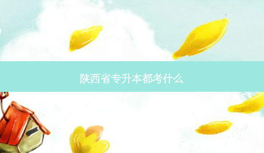 陕西省专升本都考什么-第1张图片-天智网 陕西省专升本都考什么-第1张图片-天智网