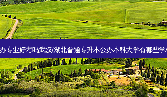 专升本公办专业好考吗武汉(湖北普通专升本公办本科大学有哪些学校难考吗)-第1张图片-天智网 专升本公办专业好考吗武汉(湖北普通专升本公办本科大学有哪些学校难考吗)-第1张图片-天智网