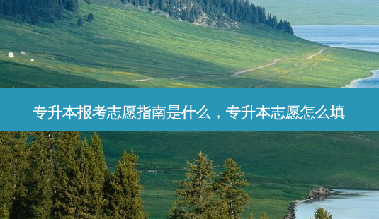 专升本报考志愿指南是什么,专升本志愿怎么填-第1张图片-天智网 专升本报考志愿指南是什么,专升本志愿怎么填-第1张图片-天智网