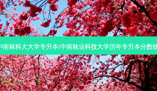 中南林科大大学专升本(中南林业科技大学历年专升本分数线)-第1张图片-天智网 中南林科大大学专升本(中南林业科技大学历年专升本分数线)-第1张图片-天智网