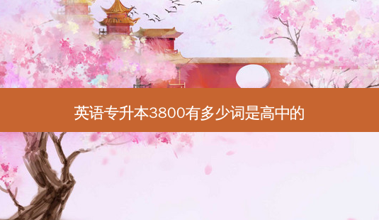 英语专升本3800有多少词是高中的-第1张图片-天智网 英语专升本3800有多少词是高中的-第1张图片-天智网