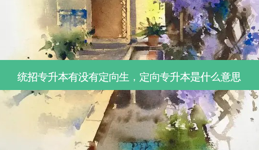 统招专升本有没有定向生,定向专升本是什么意思-第1张图片-天智网 统招专升本有没有定向生,定向专升本是什么意思-第1张图片-天智网