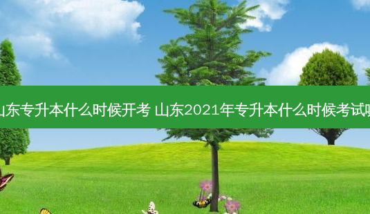 山东专升本什么时候开考 山东2021年专升本什么时候考试呢-第1张图片-汇成专升本网