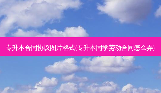 专升本合同协议图片格式(专升本同学劳动合同怎么弄)-第1张图片-天智网 专升本合同协议图片格式(专升本同学劳动合同怎么弄)-第1张图片-天智网