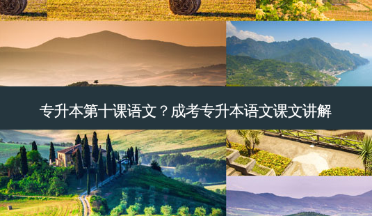 专升本第十课语文?成考专升本语文课文讲解-第1张图片-天智网 专升本第十课语文?成考专升本语文课文讲解-第1张图片-天智网