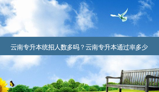云南专升本统招人数多吗?云南专升本通过率多少-第1张图片-天智网 云南专升本统招人数多吗?云南专升本通过率多少-第1张图片-天智网