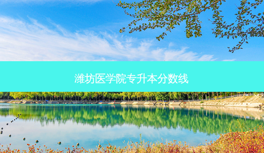潍坊医学院专升本分数线-第1张图片-天智网 潍坊医学院专升本分数线-第1张图片-天智网