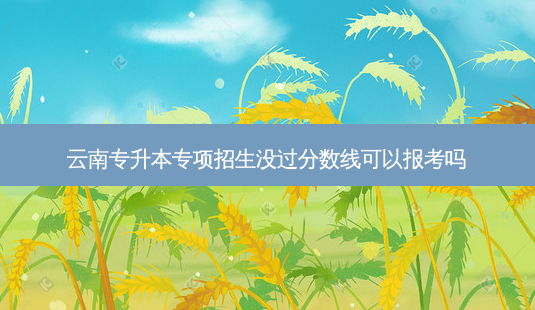 云南专升本专项招生没过分数线可以报考吗-第1张图片-天智网 云南专升本专项招生没过分数线可以报考吗-第1张图片-天智网