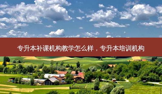 专升本补课机构教学怎么样,专升本培训机构-第1张图片-天智网 专升本补课机构教学怎么样,专升本培训机构-第1张图片-天智网