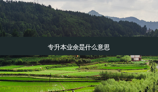 专升本业余是什么意思-第1张图片-天智网 专升本业余是什么意思-第1张图片-天智网