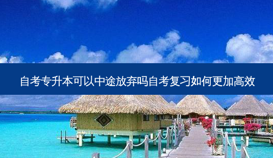 自考专升本可以中途放弃吗自考复习如何更加高效-第1张图片-天智网 自考专升本可以中途放弃吗自考复习如何更加高效-第1张图片-天智网