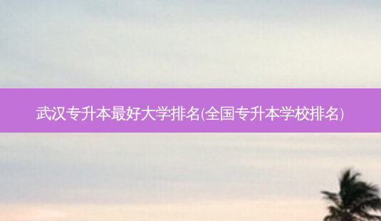 武汉专升本 *** 好大学排名(全国专升本学校排名)-第1张图片-天智网 武汉专升本 *** 好大学排名(全国专升本学校排名)-第1张图片-天智网