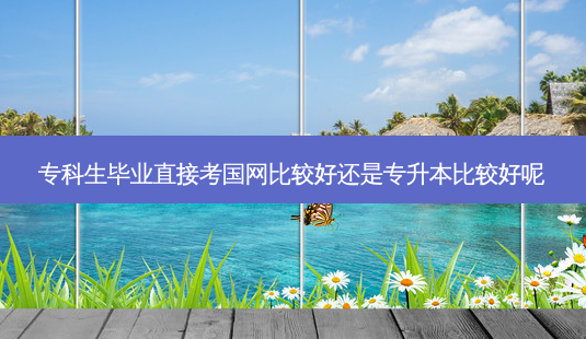专科生毕业直接考国网比较好还是专升本比较好呢-第1张图片-天智网 专科生毕业直接考国网比较好还是专升本比较好呢-第1张图片-天智网