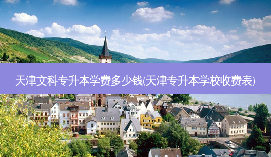 天津文科专升本学费多少钱(天津专升本学校收费表)-第1张图片-天智网 天津文科专升本学费多少钱(天津专升本学校收费表)-第1张图片-天智网