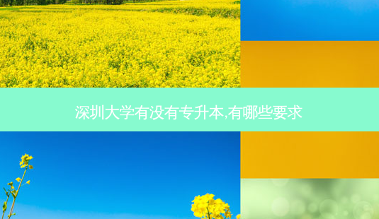 深圳大学有没有专升本,有哪些要求-第1张图片-天智网 深圳大学有没有专升本,有哪些要求-第1张图片-天智网