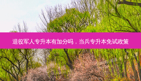 退役军人专升本有加分吗,当兵专升本免试政策-第1张图片-天智网 退役军人专升本有加分吗,当兵专升本免试政策-第1张图片-天智网