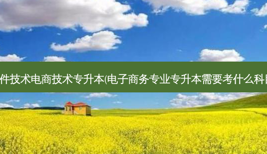 软件技术电商技术专升本(电子商务专业专升本需要考什么科目)-第1张图片-汇成专升本网