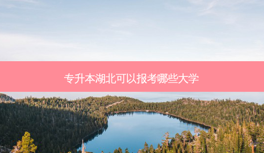 专升本湖北可以报考哪些大学-第1张图片-天智网 专升本湖北可以报考哪些大学-第1张图片-天智网