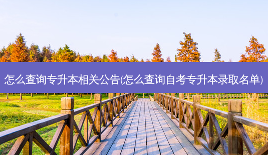 怎么查询专升本相关公告(怎么查询自考专升本录取名单)-第1张图片-天智网 怎么查询专升本相关公告(怎么查询自考专升本录取名单)-第1张图片-天智网