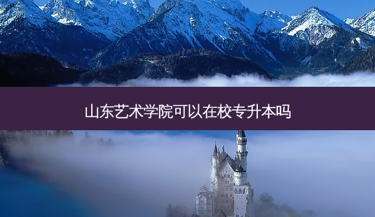 山东艺术学院可以在校专升本吗-第1张图片-天智网 山东艺术学院可以在校专升本吗-第1张图片-天智网