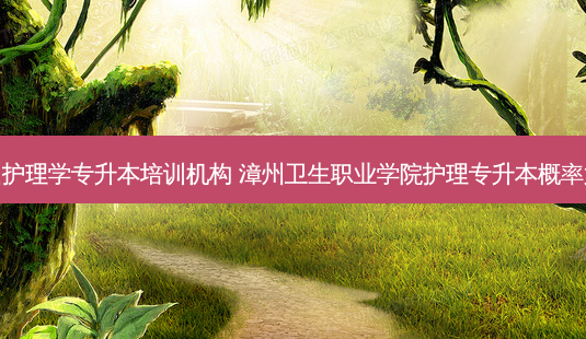 漳州护理学专升本培训机构 漳州卫生职业学院护理专升本概率大吗-第1张图片-天智网 漳州护理学专升本培训机构 漳州卫生职业学院护理专升本概率大吗-第1张图片-天智网