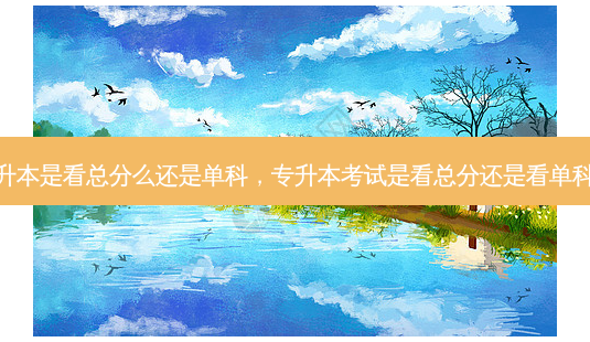 专升本是看总分么还是单科,专升本考试是看总分还是看单科分-第1张图片-天智网 专升本是看总分么还是单科,专升本考试是看总分还是看单科分-第1张图片-天智网