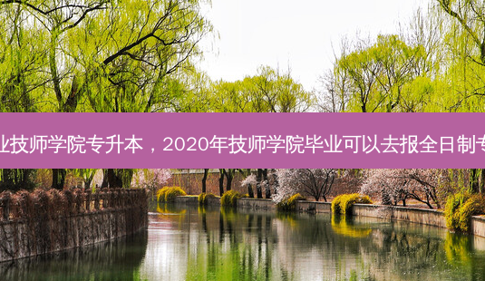 四川工业 *** 学院专升本,2020年 *** 学院毕业可以去报全日制专升本吗-第1张图片-天智网 四川工业 *** 学院专升本,2020年 *** 学院毕业可以去报全日制专升本吗-第1张图片-天智网