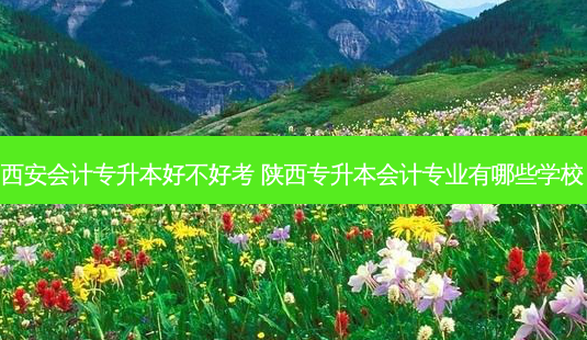 西安会计专升本好不好考 陕西专升本会计专业有哪些学校-第1张图片-天智网 西安会计专升本好不好考 陕西专升本会计专业有哪些学校-第1张图片-天智网