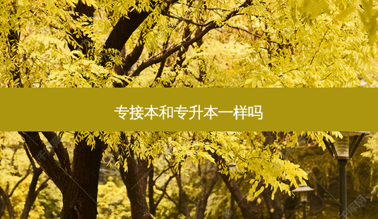 专接本和专升本一样吗-第1张图片-天智网 专接本和专升本一样吗-第1张图片-天智网