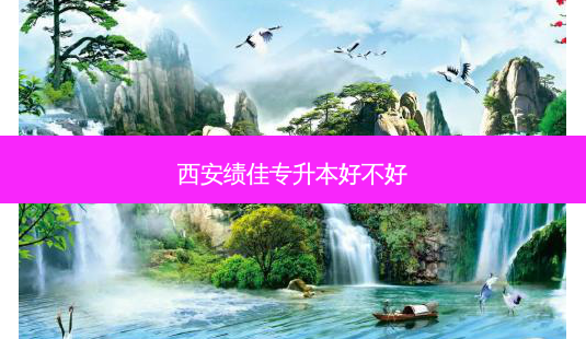 西安绩佳专升本好不好-第1张图片-天智网 西安绩佳专升本好不好-第1张图片-天智网