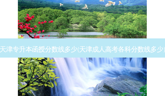 天津专升本函授分数线多少(天津成人高考各科分数线多少)-第1张图片-天智网 天津专升本函授分数线多少(天津成人高考各科分数线多少)-第1张图片-天智网