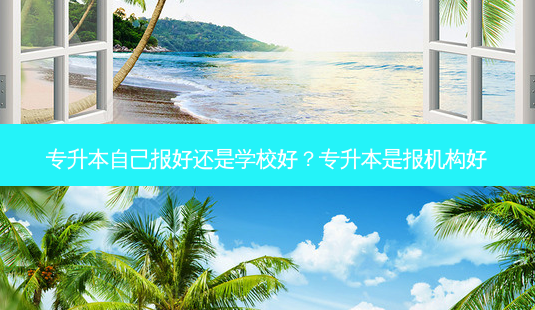 专升本自己报好还是学校好?专升本是报机构好-第1张图片-天智网 专升本自己报好还是学校好?专升本是报机构好-第1张图片-天智网