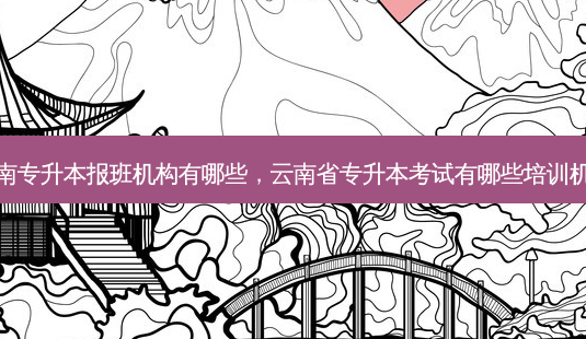 云南专升本报班机构有哪些,云南省专升本考试有哪些培训机构-第1张图片-天智网 云南专升本报班机构有哪些,云南省专升本考试有哪些培训机构-第1张图片-天智网