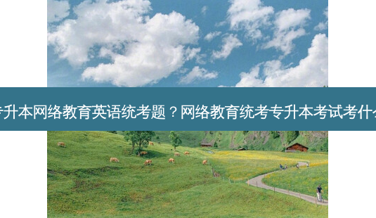 专升本 *** 教育英语统考题? *** 教育统考专升本考试考什么-第1张图片-天智网 专升本 *** 教育英语统考题? *** 教育统考专升本考试考什么-第1张图片-天智网