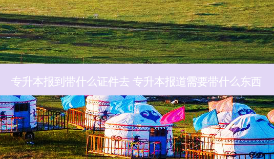 专升本报到带什么证件去 专升本报道需要带什么东西-第1张图片-天智网 专升本报到带什么证件去 专升本报道需要带什么东西-第1张图片-天智网