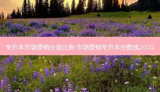 专升本市场营销分值比例 市场营销专升本分数线2022-第1张图片-天智网 专升本市场营销分值比例 市场营销专升本分数线2022-第1张图片-天智网