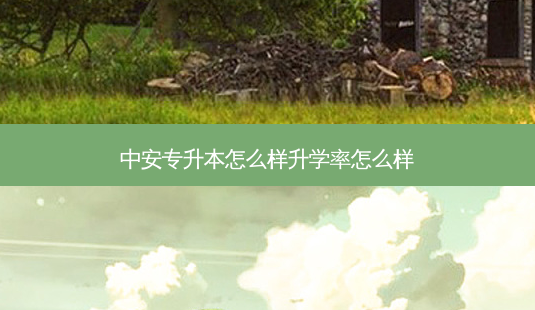 中安专升本怎么样升学率怎么样-第1张图片-天智网 中安专升本怎么样升学率怎么样-第1张图片-天智网