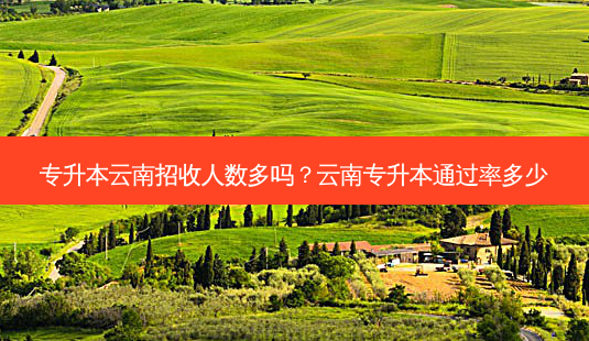 专升本云南招收人数多吗?云南专升本通过率多少-第1张图片-天智网 专升本云南招收人数多吗?云南专升本通过率多少-第1张图片-天智网