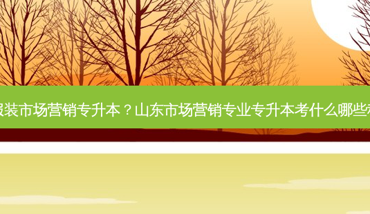 山东服装市场营销专升本?山东市场营销专业专升本考什么哪些科目啊-第1张图片-天智网 山东服装市场营销专升本?山东市场营销专业专升本考什么哪些科目啊-第1张图片-天智网