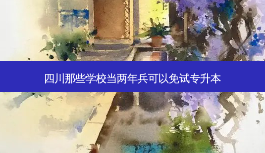 四川那些学校当两年兵可以免试专升本-第1张图片-天智网 四川那些学校当两年兵可以免试专升本-第1张图片-天智网