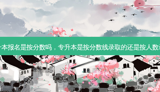 专升本报名是按分数吗,专升本是按分数线录取的还是按人数录的-第1张图片-天智网 专升本报名是按分数吗,专升本是按分数线录取的还是按人数录的-第1张图片-天智网