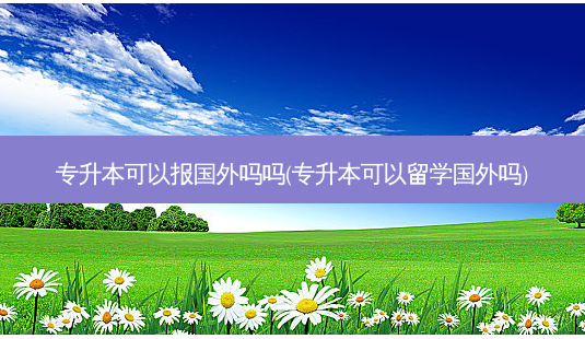 专升本可以报国外吗吗(专升本可以留学国外吗)-第1张图片-天智网 专升本可以报国外吗吗(专升本可以留学国外吗)-第1张图片-天智网