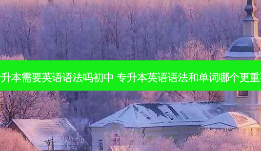 专升本需要英语语法吗初中 专升本英语语法和单词哪个更重要-第1张图片-天智网 专升本需要英语语法吗初中 专升本英语语法和单词哪个更重要-第1张图片-天智网