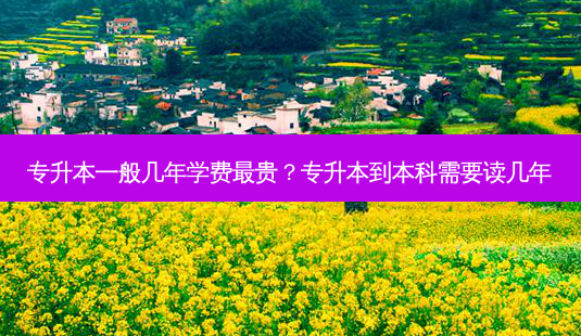 专升本一般几年学费 *** 贵?专升本到本科需要读几年-第1张图片-天智网 专升本一般几年学费 *** 贵?专升本到本科需要读几年-第1张图片-天智网