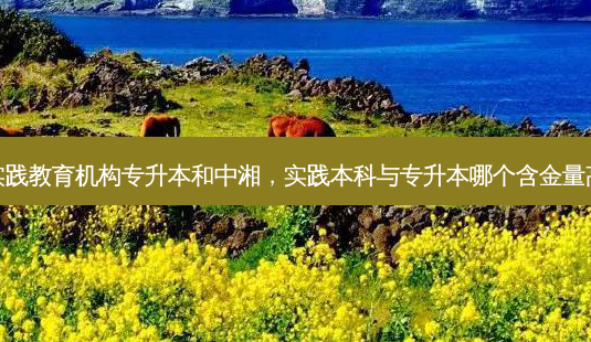 实践教育机构专升本和中湘,实践本科与专升本哪个含金量高-第1张图片-天智网 实践教育机构专升本和中湘,实践本科与专升本哪个含金量高-第1张图片-天智网