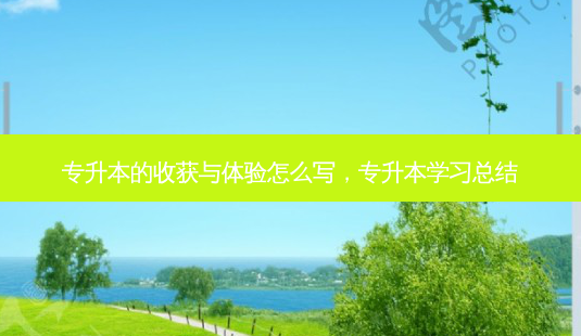 专升本的收获与体验怎么写,专升本学习总结-第1张图片-天智网 专升本的收获与体验怎么写,专升本学习总结-第1张图片-天智网