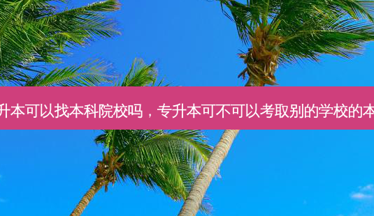 专升本可以找本科院校吗,专升本可不可以考取别的学校的本科-第1张图片-天智网 专升本可以找本科院校吗,专升本可不可以考取别的学校的本科-第1张图片-天智网