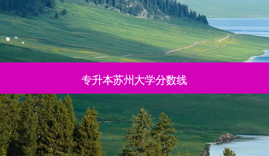 专升本苏州大学分数线-第1张图片-天智网 专升本苏州大学分数线-第1张图片-天智网