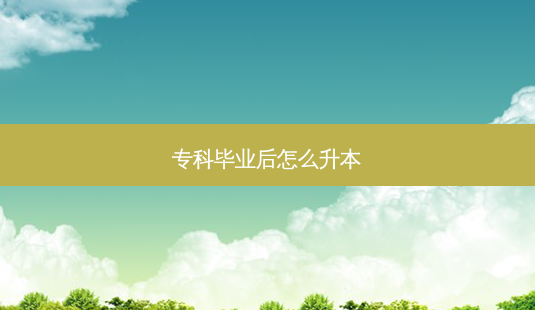 专科毕业后怎么升本-第1张图片-天智网 专科毕业后怎么升本-第1张图片-天智网